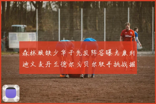 森林狼缺少华子先发阵容曝光康利迪文麦丹兰德尔戈贝尔联手挑战掘金